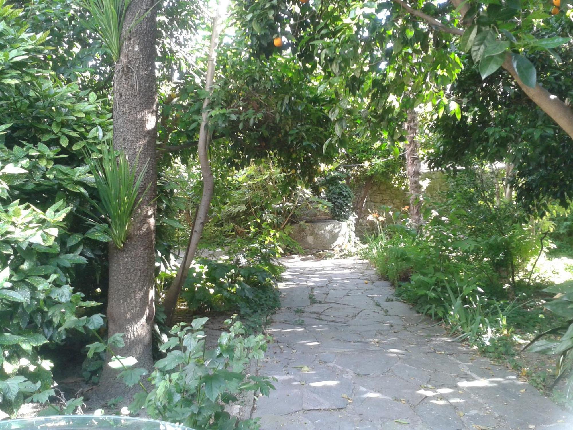 阿塞沃 科尔维纳乡村旅馆旅馆 外观 照片